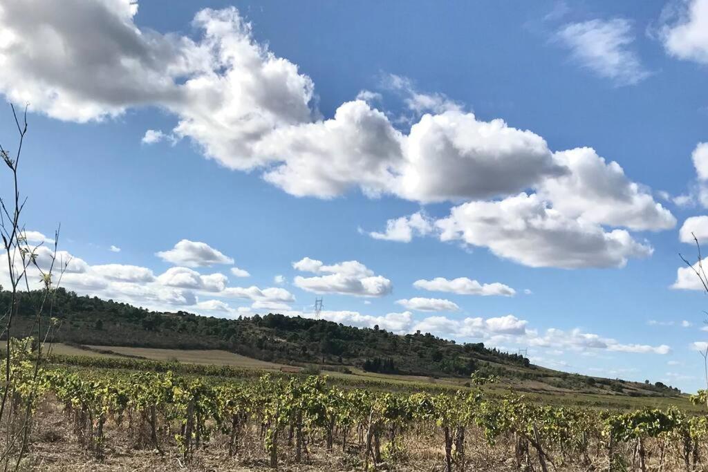 Appartement Le Jutini Caunes-Minervois Zewnętrze zdjęcie